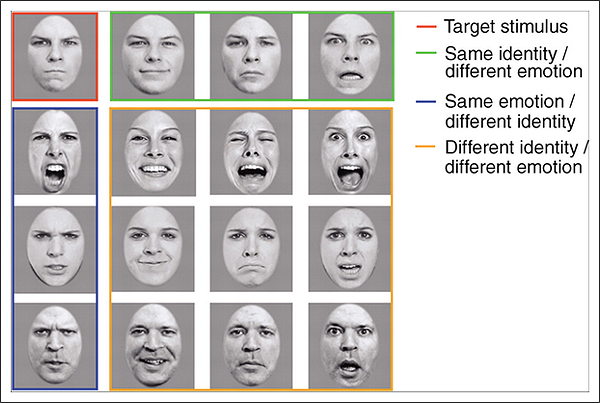 Экспериментальная картинка. Зелёным обведены разные выражения одного лица, синим — одинаковая эмоция, но у разных людей, оранжевым — разные эмоции, разные люди. (Иллюстрация авторов исследования.)