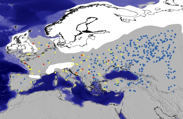 Результат моделирования: синими точками обозначено расселение человеческих групп, красными — неандертальцев, жёлтыми — смешанных групп