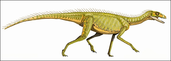 Динозавроморф Silesaurus, живший в конце триаса (изображение Dmitry Bogdanov / Wikipedia)