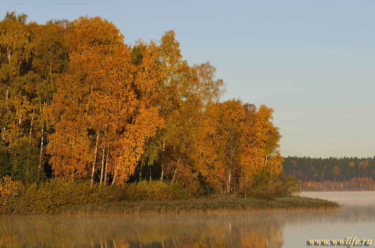 Осень